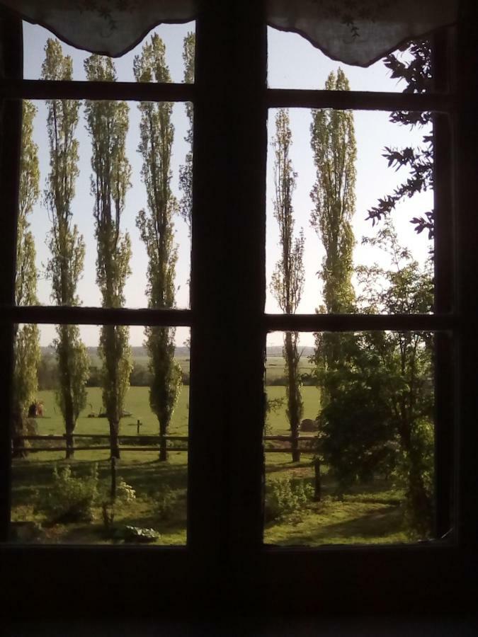 La Ferme Des Vignes Bed & Breakfast Hotot-en-Auge ภายนอก รูปภาพ