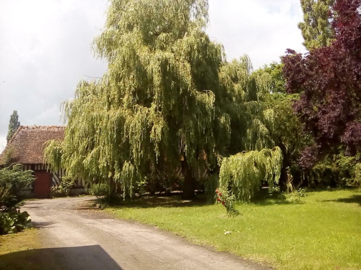 La Ferme Des Vignes Bed & Breakfast Hotot-en-Auge ภายนอก รูปภาพ